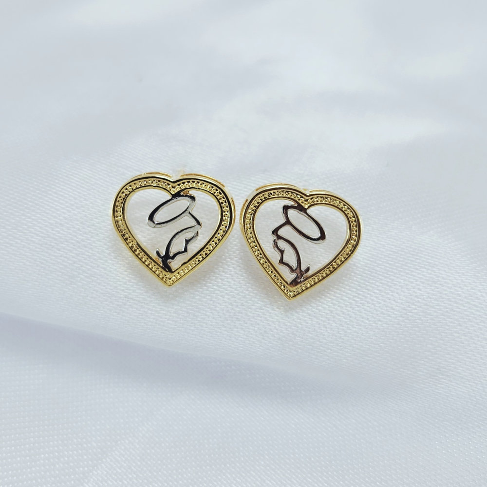 Brinco coração nossa senhora aparecida