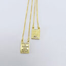 Escapulário N.S do Carmo e sagrado coração de Jesus / Placa media