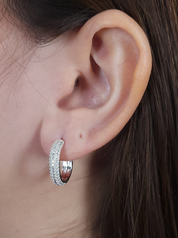 Brinco cravejado detalhado