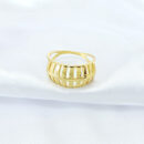 Anel com aros curvados