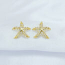 Brinco estrela cravejada
