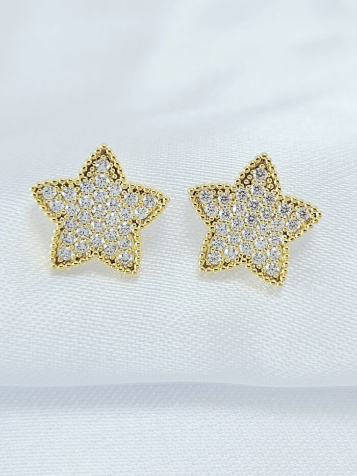 Brinco estrela  cravejado