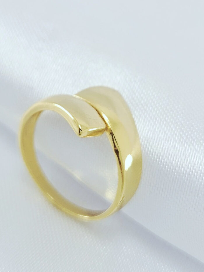 Anel dois fios lisos