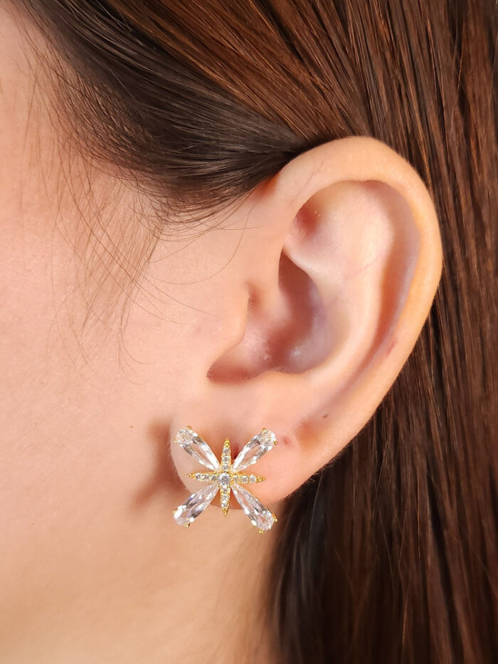 Brinco cristal detalhado