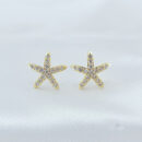 Brinco estrela cravejado